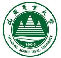 合作学校1